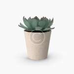 Milk bottle crate – Image 2
